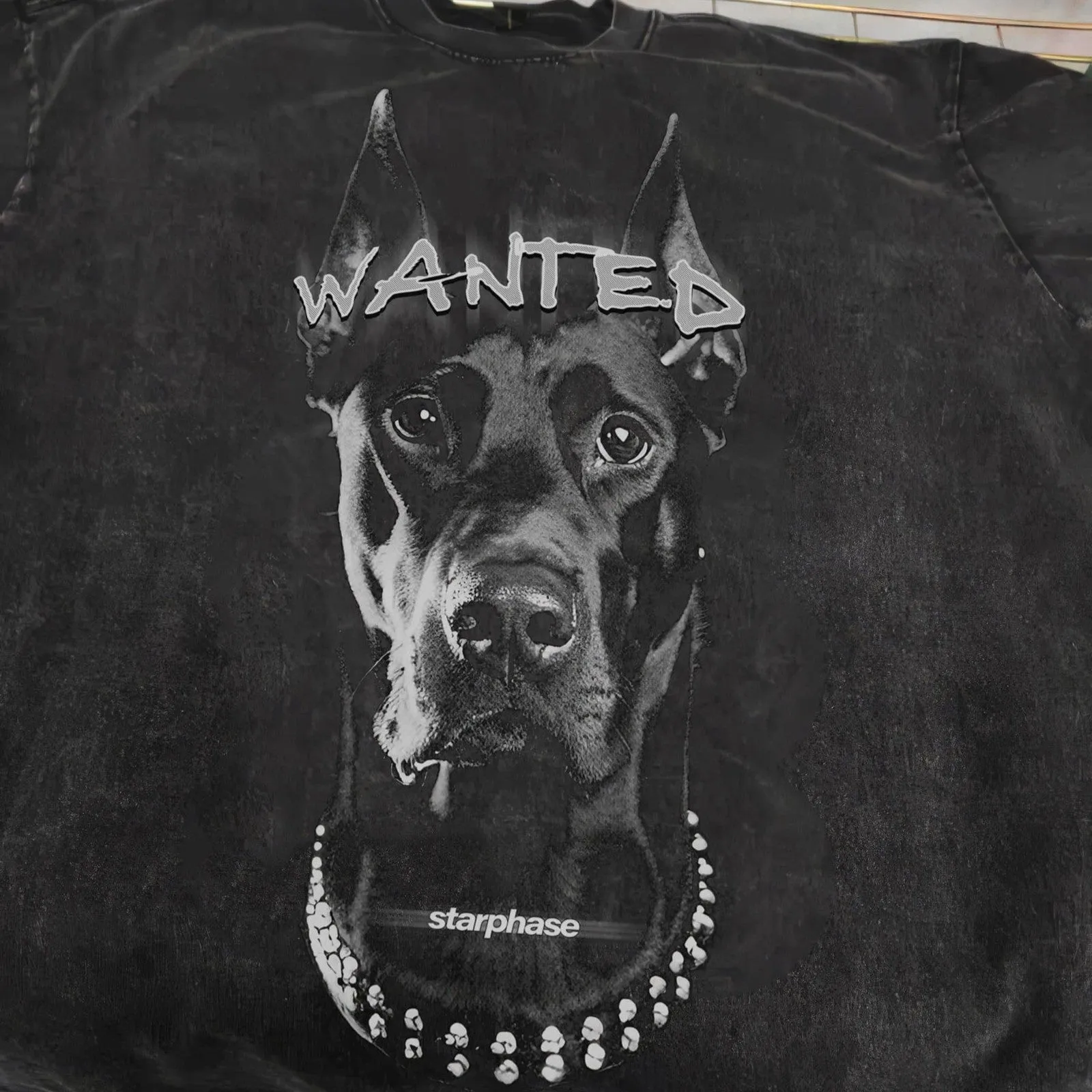 Wanted Doberman Oversized Washed T-Shirt